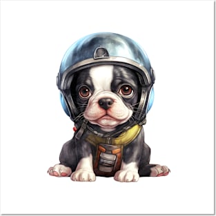 Boston Terrier Dog in Helmet Posters and Art